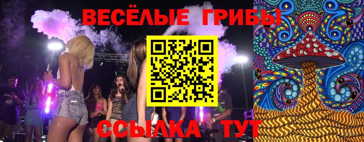 Туапсе  Галлюциногенные грибы мицелий  Вход с VPN 
