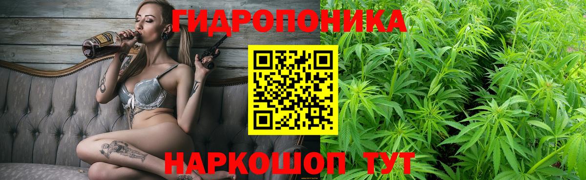 Марихуана планчик  Вход с VPN  Бошки марихуана AK-47  Туапсе  Бошки марихуана ГИДРОПОН  Бошки Шишки AK-47 